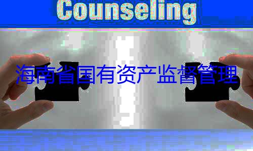 海南省国有查调查委副书记王资产监督管理委员会党有福接受审